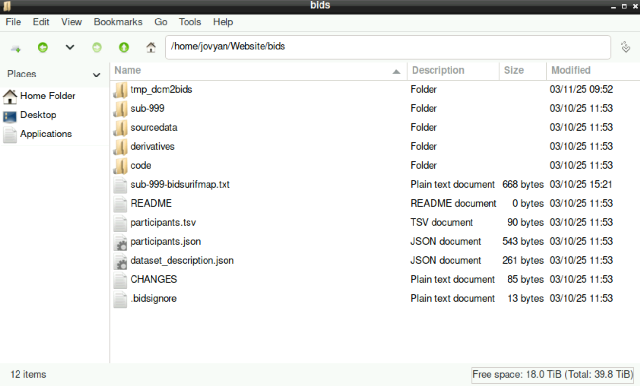 Resulting bids-directory