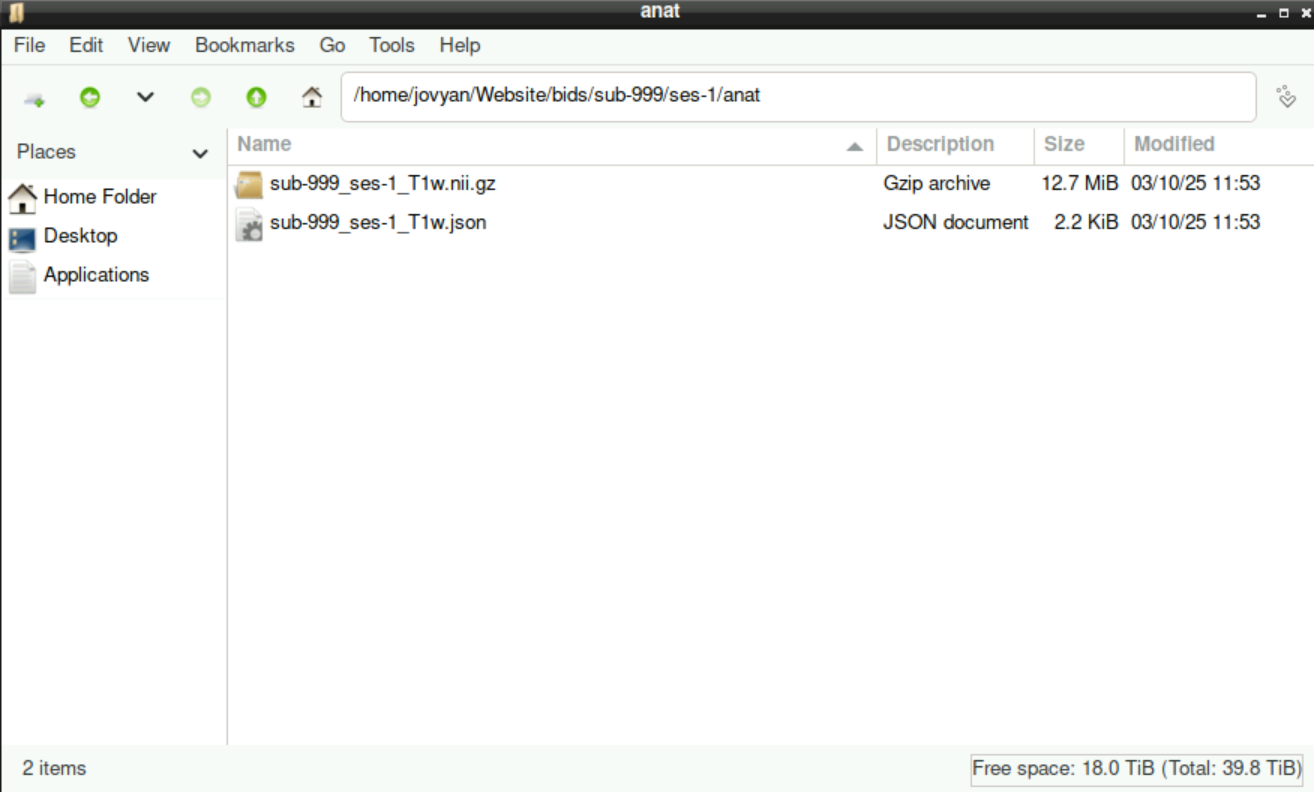 Content of the anat directory