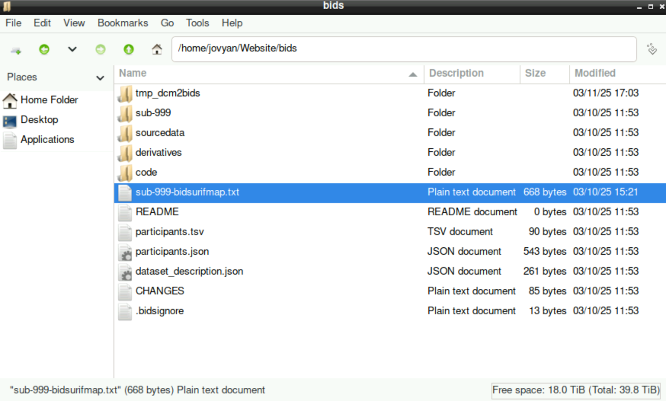 Open sub-999-bidsurifmap.json