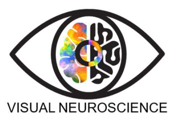 Visual Neuroscience Lab logo: an eye with a brain as the iris