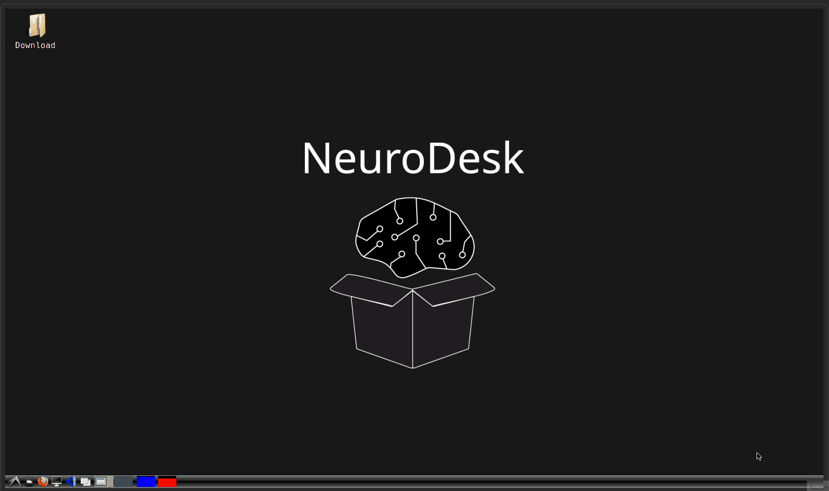 Opening a terminal on neurodesk