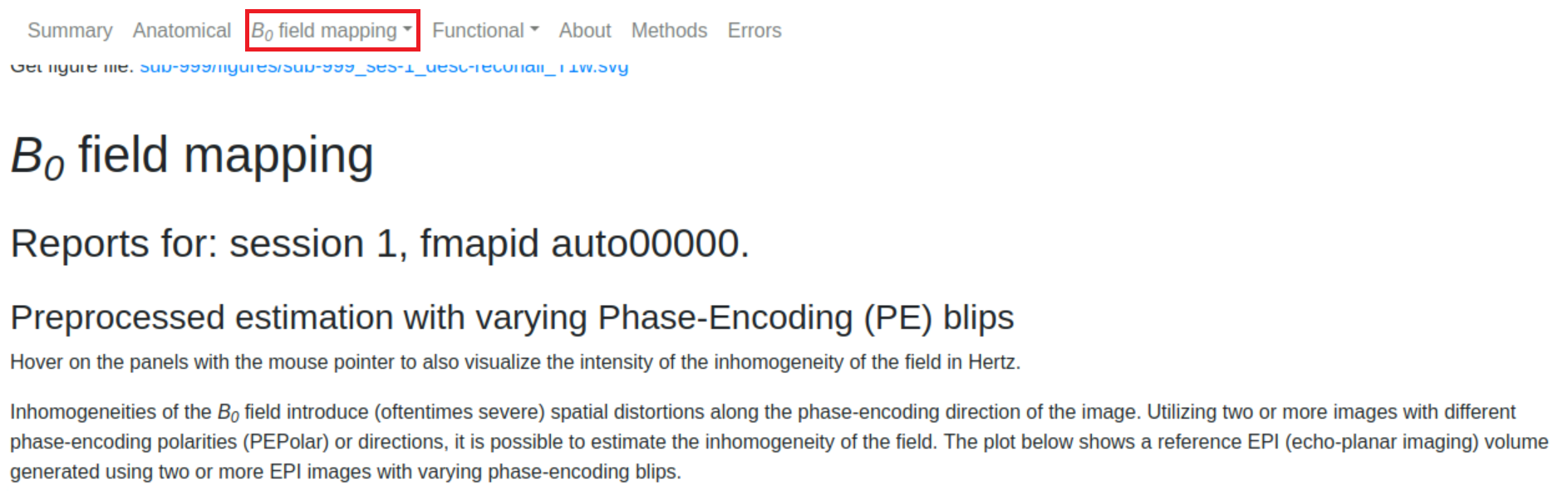.html-File with B0 field mapping